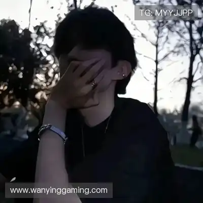 皮蝶研